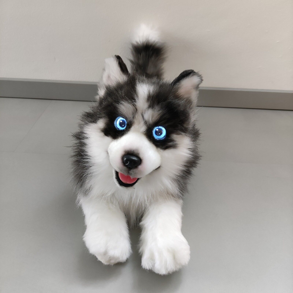 Пес-робот. Elephant Robotics metaDog